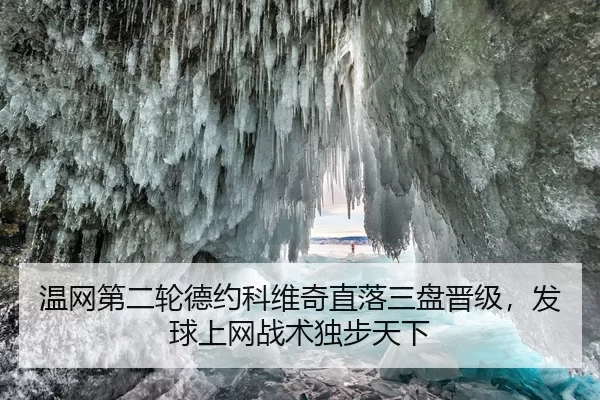 温网第二轮德约科维奇直落三盘晋级，发球上网战术独步天下